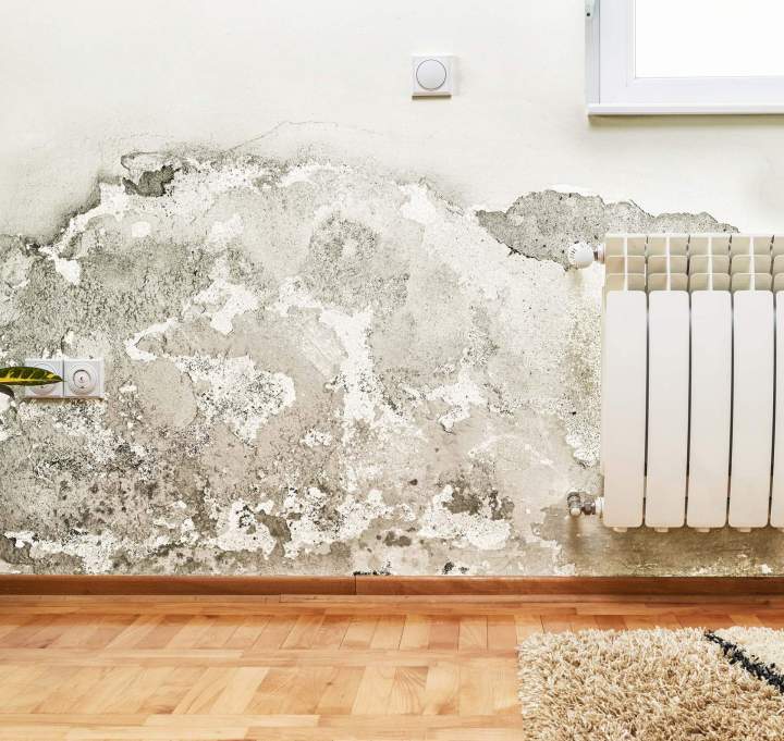 Traitement de l’humidité pour un intérieur sain et durable